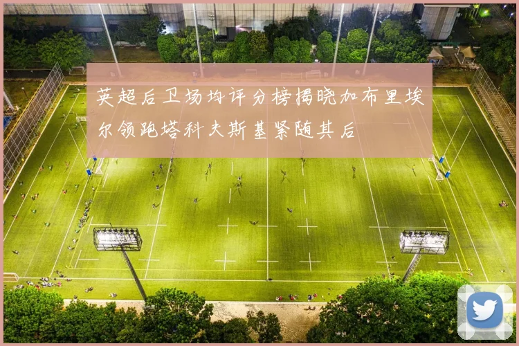 英超后卫场均评分榜揭晓加布里埃尔领跑塔科夫斯基紧随其后