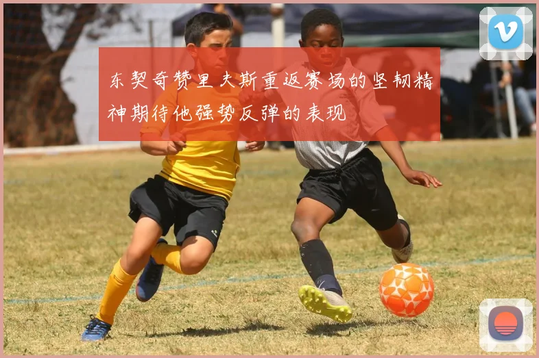 东契奇赞里夫斯重返赛场的坚韧精神期待他强势反弹的表现